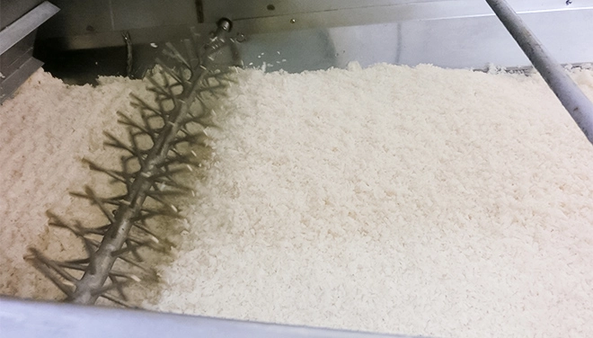 冷却・種付け作業の写真