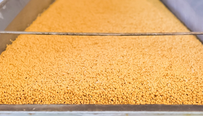 放冷される大豆の写真